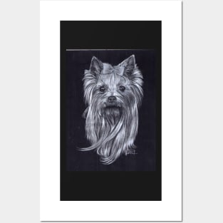 Yorkshire-Terrier Posters and Art